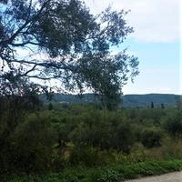 Земельный участок в Греции