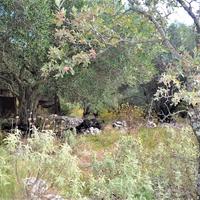 Земельный участок в Греции