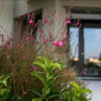 Отель (гостиница) в Греции, 478 кв.м.