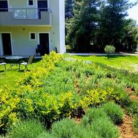 Отель (гостиница) в Греции, 478 кв.м.