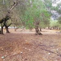 Земельный участок в Греции