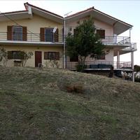 Business center in Greece, 350 sq.m.