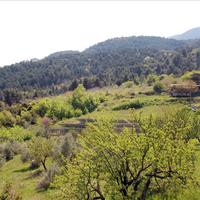 Business center in Greece, 350 sq.m.