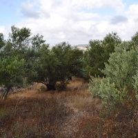 Земельный участок в Греции