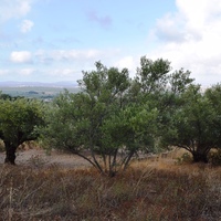 Земельный участок в Греции