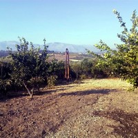 Бизнес-центр в Греции, 320 кв.м.