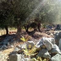 Земельный участок в Греции