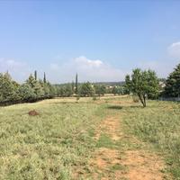 Land plot in Greece