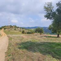 Land plot in Greece