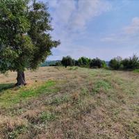 Land plot in Greece