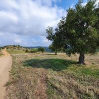 Land plot in Greece