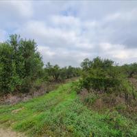 Земельный участок в Греции