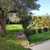 Other in Greece, 280 sq.m.