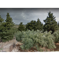 Land plot in Greece