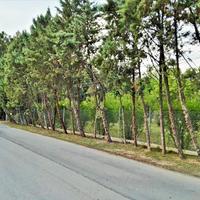 Другое в Греции, 190 кв.м.