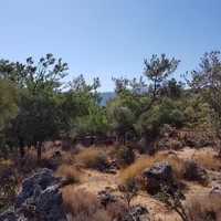 Land plot in Greece