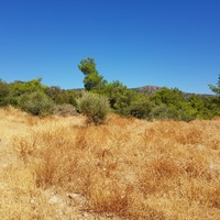 Land plot in Greece