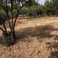 Land plot in Greece