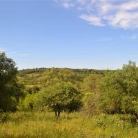 Land plot in Greece, 160 sq.m.