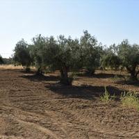 Другое в Греции, 180 кв.м.