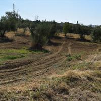 Другое в Греции, 180 кв.м.