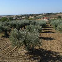 Другое в Греции, 180 кв.м.