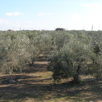 Земельный участок в Греции