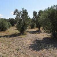 Business center in Greece, 1500 sq.m.