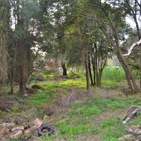 Land plot in Greece