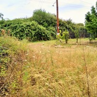 Land plot in Greece