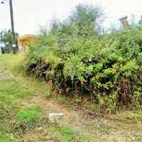 Land plot in Greece