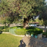 Таунхаус в Греции, 150 кв.м.