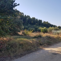 Land plot in Greece