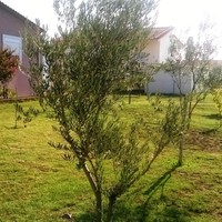 Other in Greece, 83 sq.m.