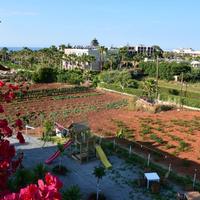 Отель (гостиница) в Греции, 500 кв.м.