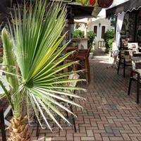 Отель (гостиница) в Греции, 500 кв.м.