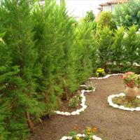 Flat in Greece, 50 sq.m.