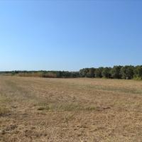 Земельный участок в Греции