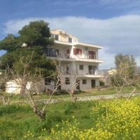 Business center in Greece, 500 sq.m.