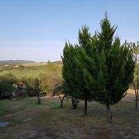 Другое в Греции, 210 кв.м.