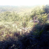 Другое в Греции, 150 кв.м.