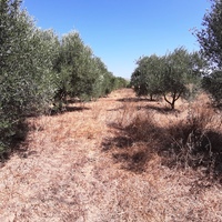 Land plot in Greece