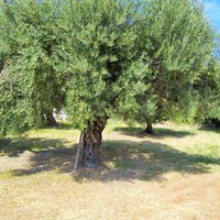 Other in Greece, 70 sq.m.