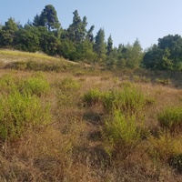 Land plot in Greece