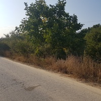 Land plot in Greece
