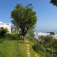 Land plot in Greece