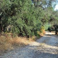 Земельный участок в Греции