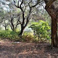 Земельный участок в Греции