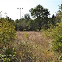 Land plot in Greece
