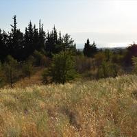 Land plot in Greece